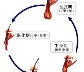 自然生長週期